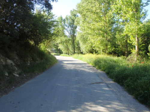 On the road to Montefr&iacute;o.